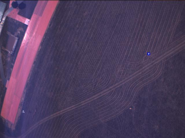 Chameleon-UAV-Image